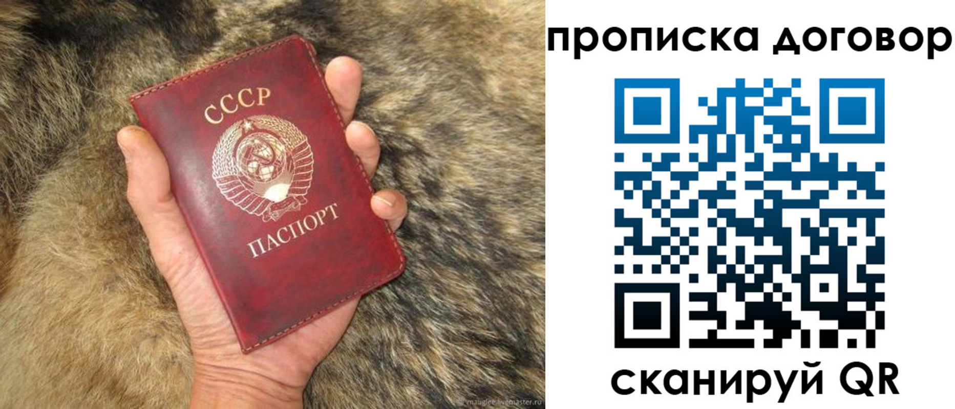 прописка регистрация в Мордовии